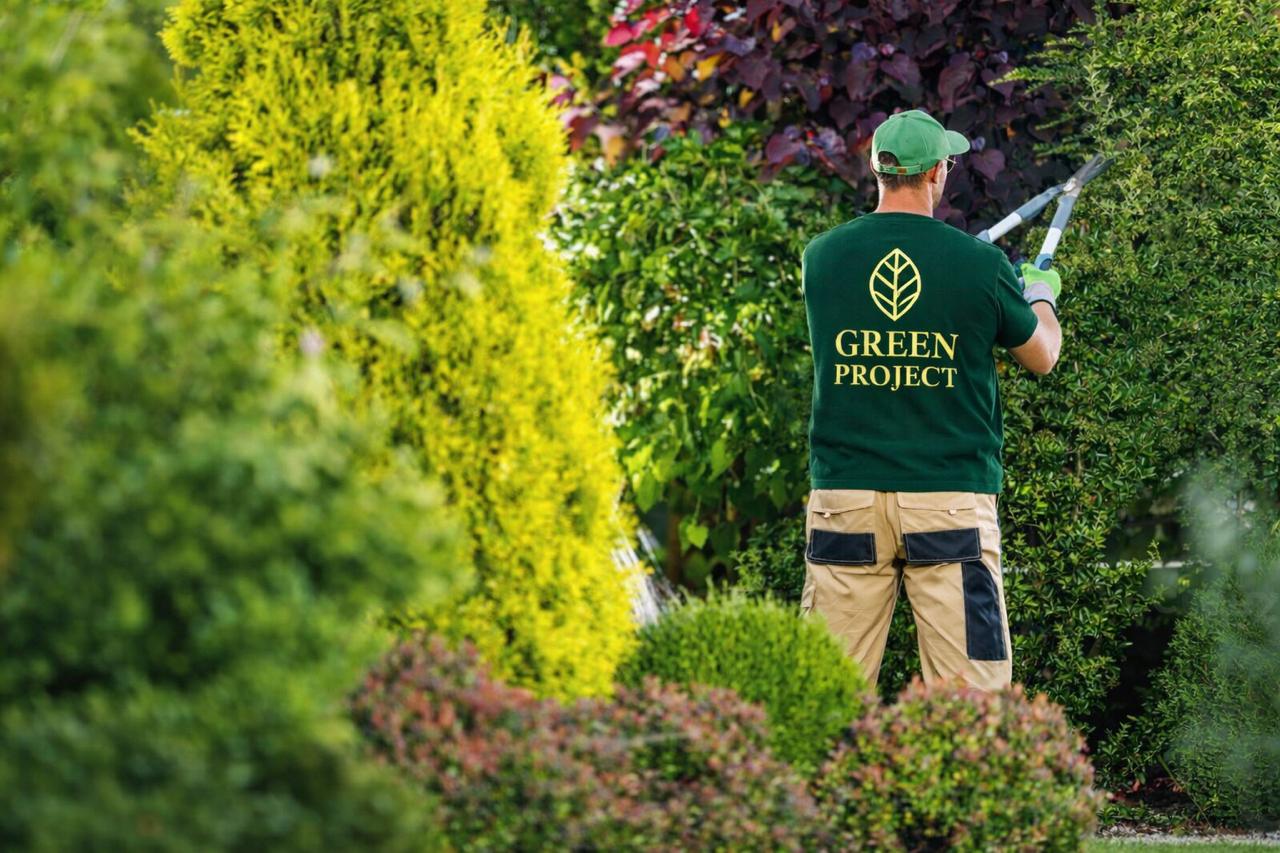 About GREEN PROJECT